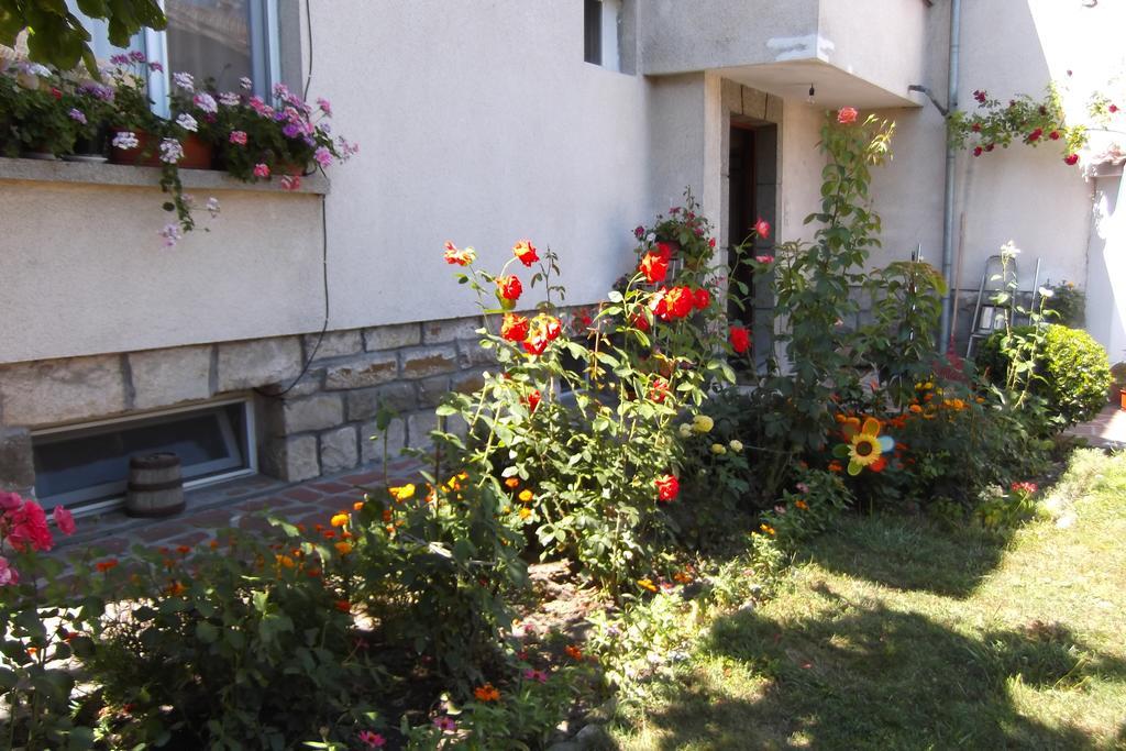 Hotel Borova House Tryavna Exterior foto